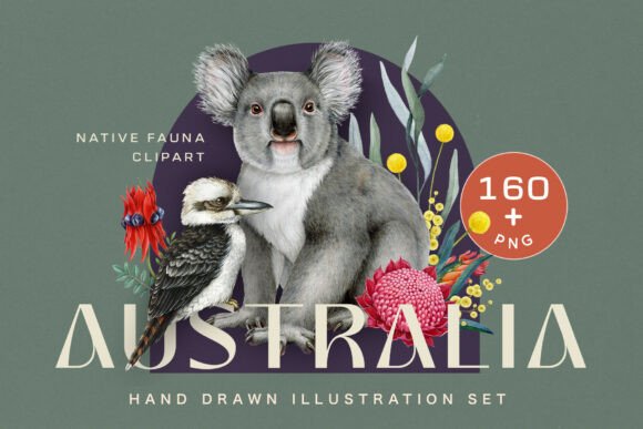 Download Australia Fauna Watercolor Clipart - Watercolor Collection