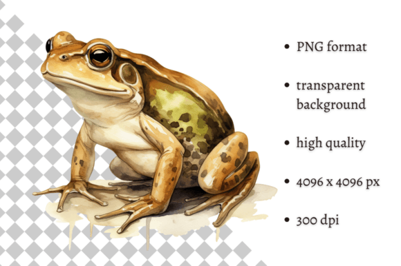 Download Watercolor Frog Illustration - Watercolor Collection