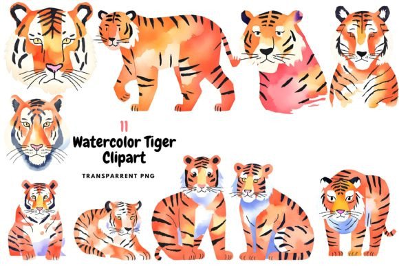 Download Watercolor Tiger Clipart PNG - Watercolor Collection