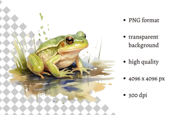 Download Watercolor Frog Illustration - Watercolor Collection