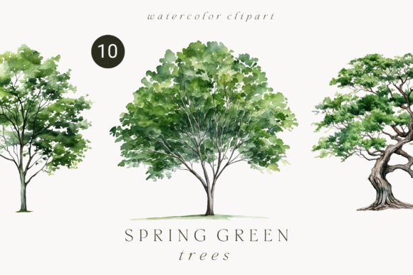 Download Watercolor Green Tree Forest Clipart - Watercolor Collection