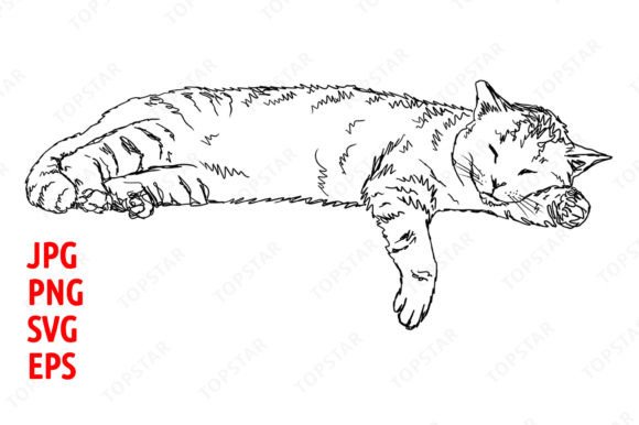 Download Sleeping Cat Illustration Clipart - Art Collection
