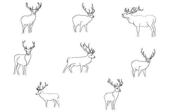 Download Deer Line Art Abstract Boho - Art Collection