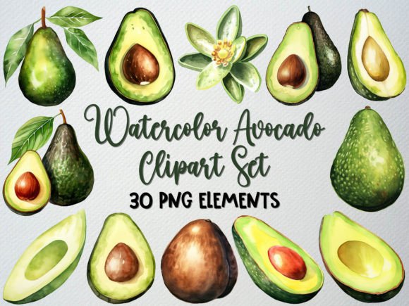 Download Watercolor Avocado Clipart Set, 30 PNG - Watercolor Collection