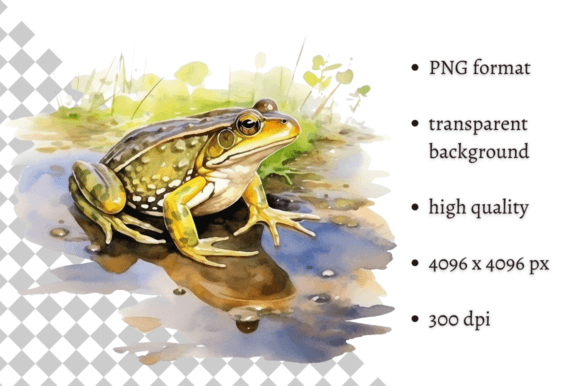 Download Watercolor Frog Illustration - Watercolor Collection